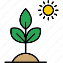 biology, plant, ecology, growing, herb, pot, science, icon