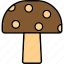 mushroom, edible, japanese, shitake, icon