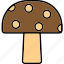 mushroom, edible, japanese, shitake, icon 
