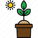 photosynthesis, sprout, plant, sun, gardening, icon