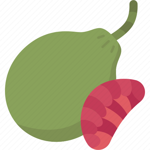 Pomelo, fruit, citrus, juicy, fresh icon - Download on Iconfinder