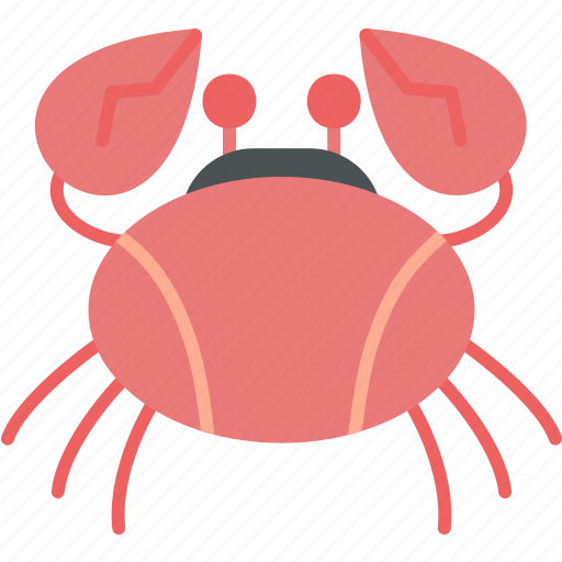 Crab, animals, aquarium, food, seafood, sealife, summer icon - Download on Iconfinder