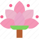 lotus, flower, yoga, meditation, nature, healthy, relaxation, icon