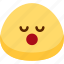 emoji, emotion, expression, face, feeling, sleeping 