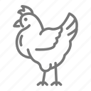4-h, chicken, poultry