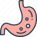 abdomen, anatomy, digestive, gastric, gut, paunch, stomach