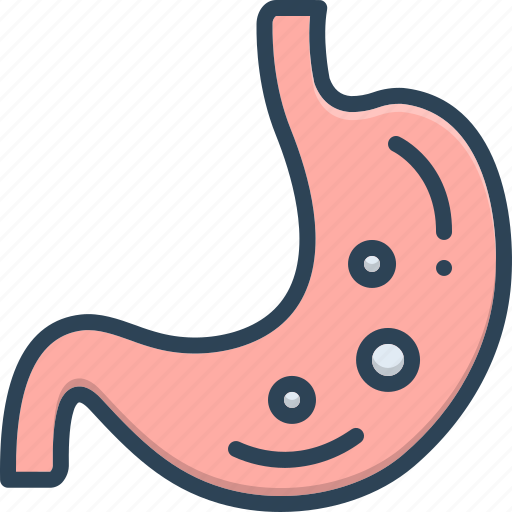 Abdomen, anatomy, digestive, gastric, gut, paunch, stomach icon - Download on Iconfinder