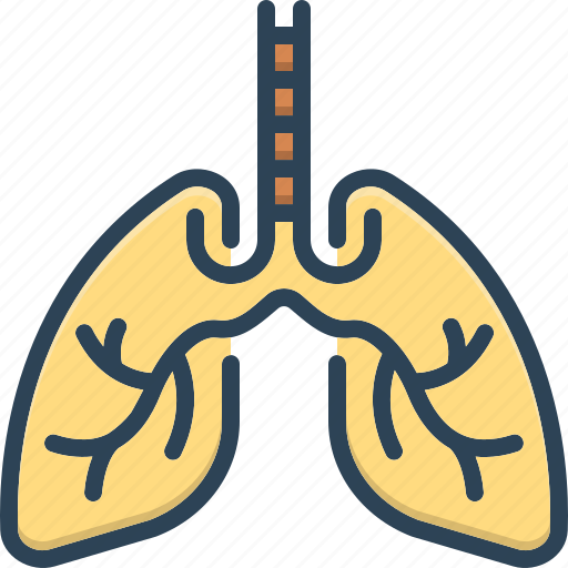 Pulmonary, respiratory, bronchi, health, breath, human, lung icon - Download on Iconfinder