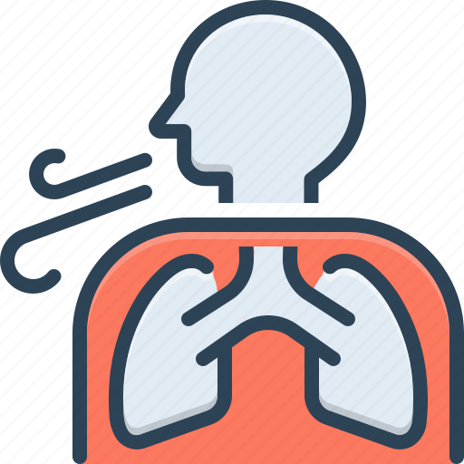 Breathe out, respiratory, take a breath, inhale, breathe in, anatomy, breathe icon - Download on Iconfinder