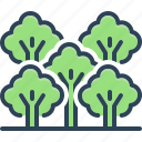 grove, park, wood, copse, coppice, plantation, tree, orchard, forest