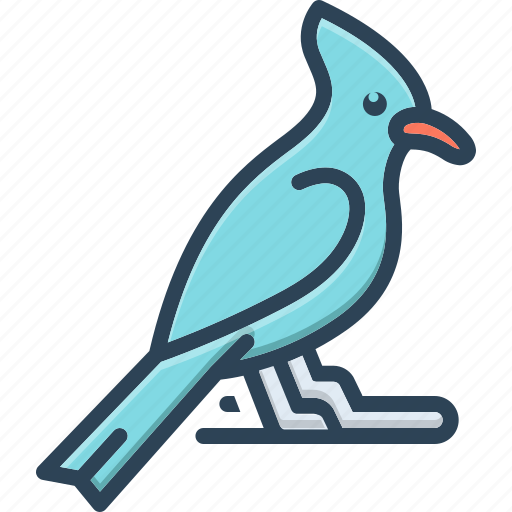 Jay, bird, wild, feather, flying, columbia, fauna icon - Download on Iconfinder