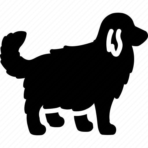 Retreival, dog, breed, labrador, veterinarian, domestic, retreive icon - Download on Iconfinder