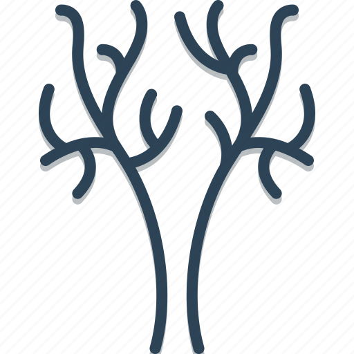 Branches, leaf, plant, summer, tree, dry, trunkwood icon - Download on Iconfinder