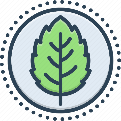 Mint, peppermint, mentha, lamiaceae, leaf, flavor, spearmint icon - Download on Iconfinder