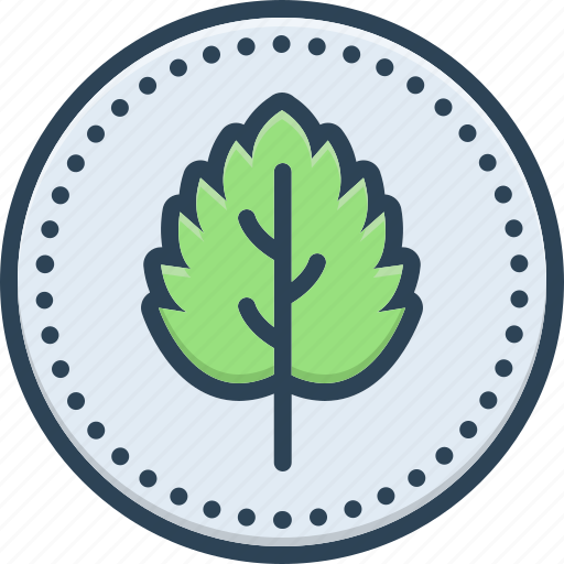 Melissa, herbal, medicine, plant, leaf, aromatic, foliage icon - Download on Iconfinder