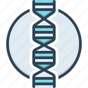 dna, genetic, helix, evolution, spiral, heredity, chromosome