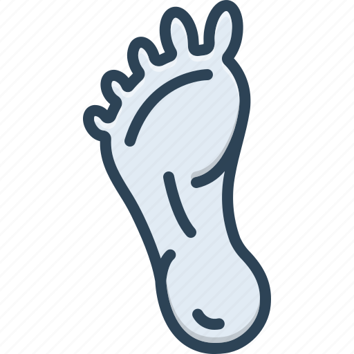 Foot, footstep, sole, leg, ankle, footprint, barefoot icon - Download on Iconfinder