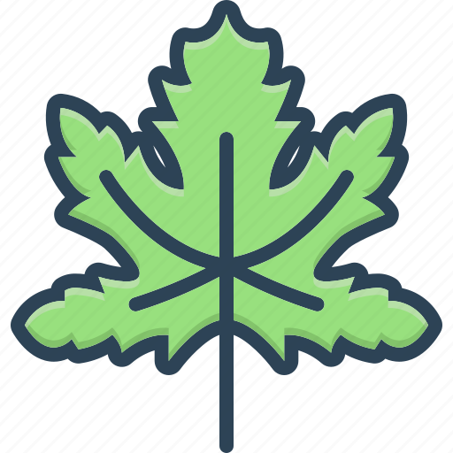 Maple, leaf, nature, botany, tree icon - Download on Iconfinder