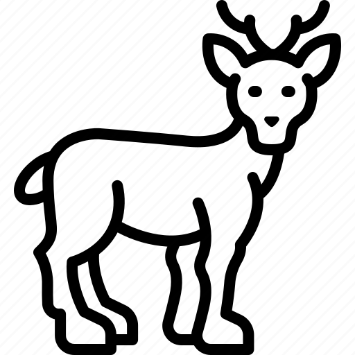 Doe, deer, reindeer, stag, antelope, antler, roe deer icon - Download on Iconfinder