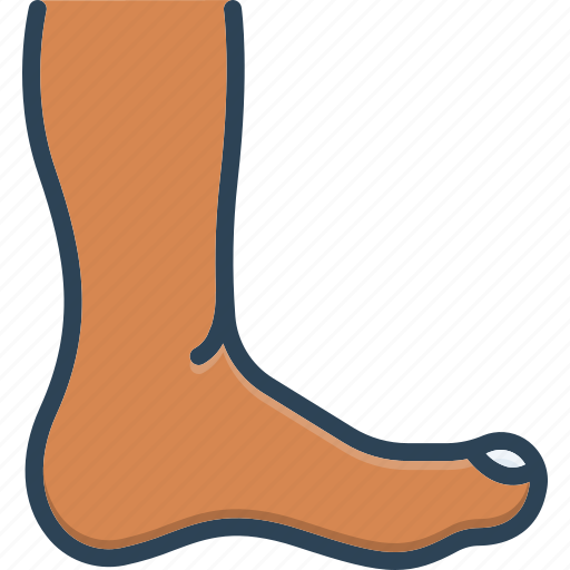 Feet, foot, leg, shank, ankle, footing icon - Download on Iconfinder