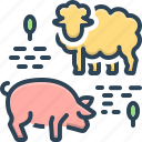 livestock, animal, pig, sheep, lamb, cattle, jumbuck