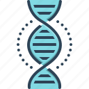 gene, dna, chromosome, bio, code, genotype, helix