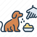 conditioning, dog, mongrel, veterinarian, pedigree, domestic, dog feed