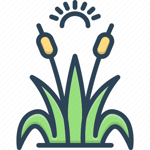 Reed, sugarcane, grass, green, cattai, bulrush, botanical icon - Download on Iconfinder