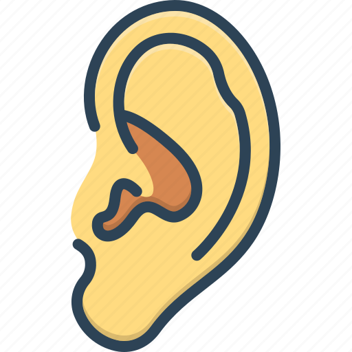 Anatomy, audible, ear, hear, hearken, listen, sound icon - Download on Iconfinder