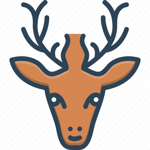 Animal, antler, cute, dear, face, forest, rain icon - Download on Iconfinder