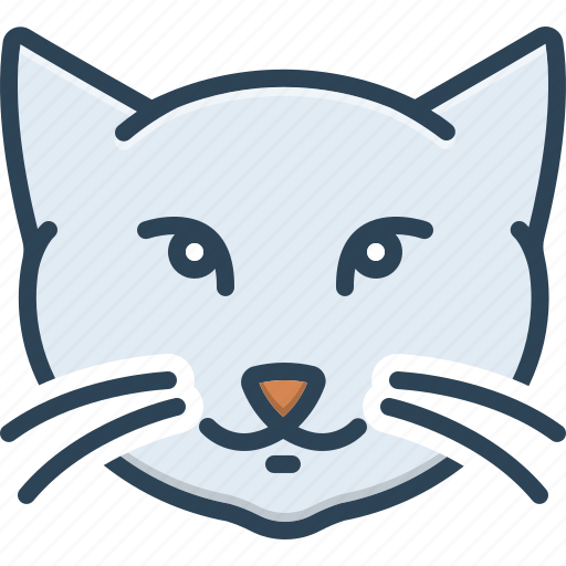 Adorable, animal, cute, domestic, face, kitten, kitty cat icon - Download on Iconfinder