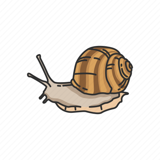 Animal, freshwater snail, land snail, mollusc, sea snail, shell, snail icon - Download on Iconfinder