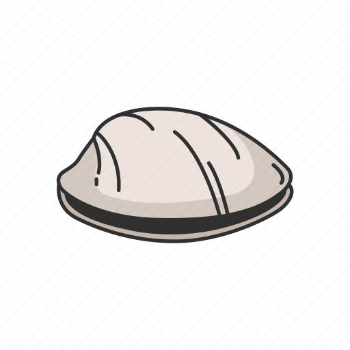Animal, clam, food, marine animal, mollusc, seashell, shell icon - Download on Iconfinder