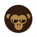 animal, ape, chimp, monkey, nature, wild, zoo 