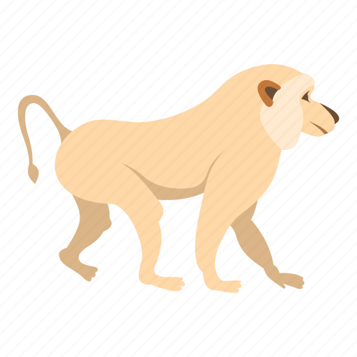 Animal, baboons, japanese, macaque, monkey, primate, snow icon - Download on Iconfinder