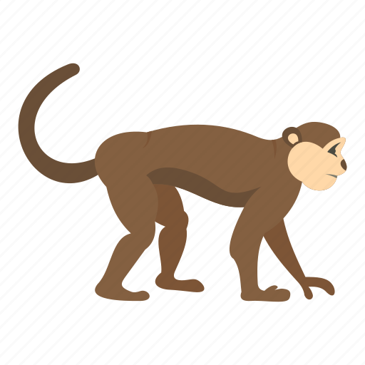 Animal, macaca, macaque, monkey, nature, primate, sylvanus icon - Download on Iconfinder