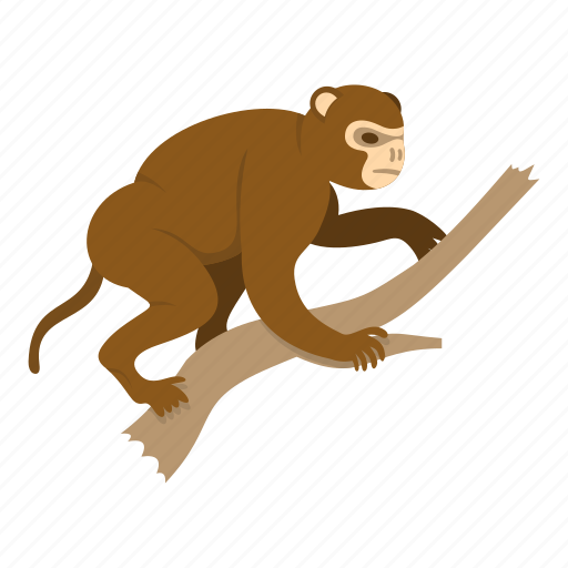 Animal, branch, monkey, nature, primate, wildlife, wood icon - Download on Iconfinder