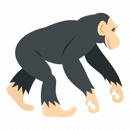Animal, chimpanzee, mammal, monkey, nature, primate, wildlife icon - Download on Iconfinder