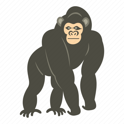 Animal, bonobo, mammal, monkey, nature, primate, wildlife icon - Download on Iconfinder