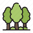 trees, plant, nature, forest, garden, agriculture