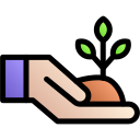 sprout, hand, ecology, touch, eco
