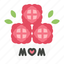 mother's day, mother, celebration, family, honor 