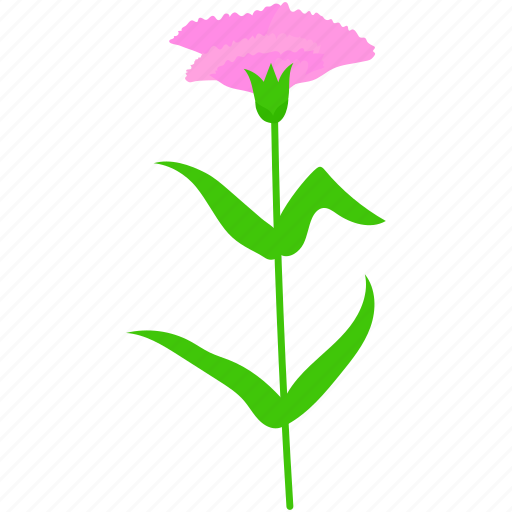 Carnation, flower, pink, mothers, day, love icon - Download on Iconfinder