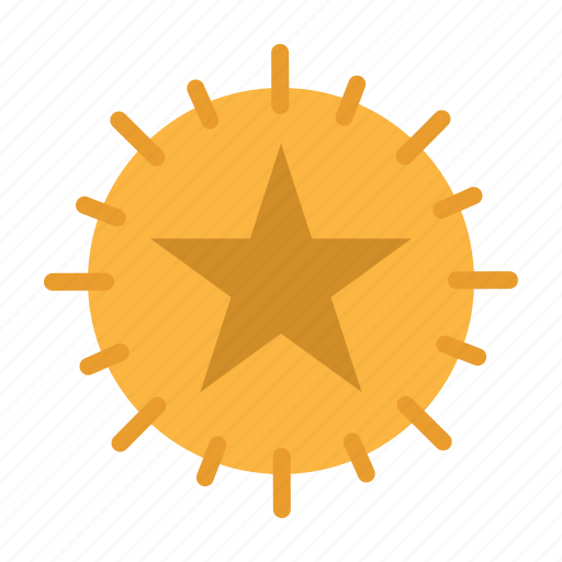 Favorite, favourite, rate, shapes, star icon - Download on Iconfinder