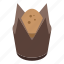 chocolate, muffin, isometric 