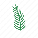 fir, flat, icon, evergreen, christmas, plants, decorative, winter, holiday