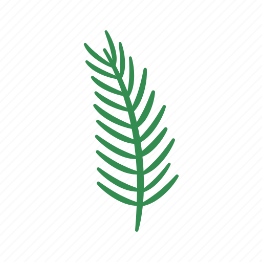 Fir, flat, icon, evergreen, christmas, plants, decorative icon - Download on Iconfinder