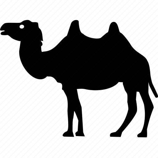 Animal, beast, camel, desert icon - Download on Iconfinder