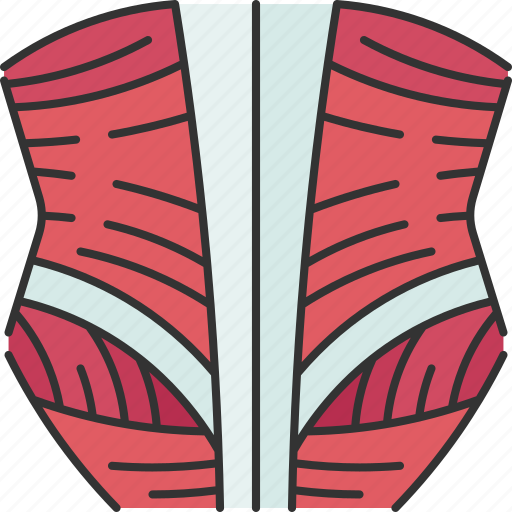 Muscle, fiber, tissue, connective, physical icon - Download on Iconfinder