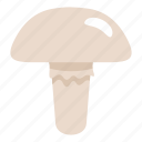autumn, cooking, eat, food, forest, fresh, poisonous mushroom 